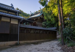 SBJ09006