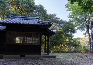SBJ09010