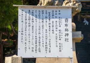 SBJ04950
