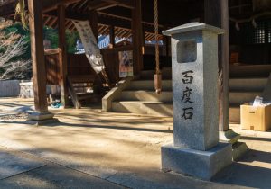 SBJ04967