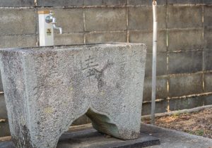 SBJ03033