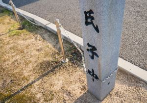SBJ03049