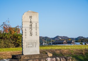 SBJ02269