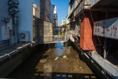 SBJ06233