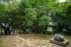 DSC05578