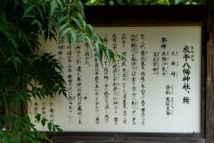 DSC05579