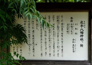 SBJ05579