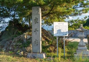 SBJ06847