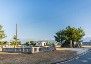 SBJ09548