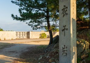 SBJ09562