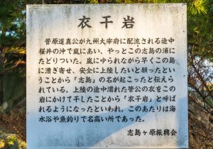 SBJ09565