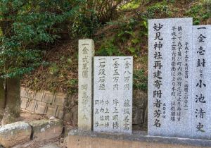 DSC09020