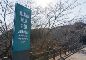 SBJ06357