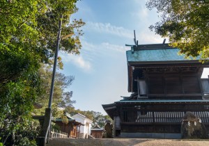 SBJ06018