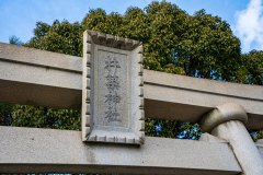 DSC07235