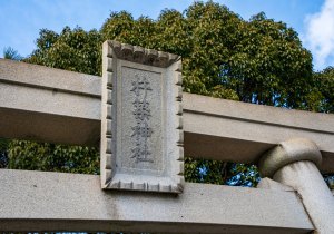 DSC07235