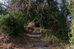 DSC07240