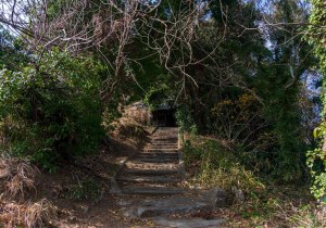 DSC07240