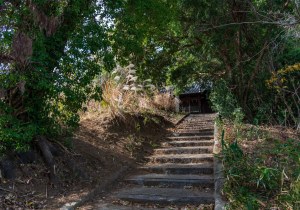 DSC07241