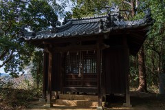 DSC07244