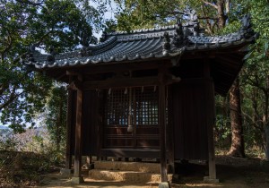 DSC07244