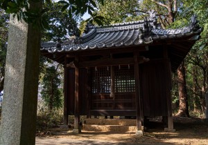 DSC07245