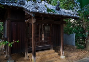 DSC07253