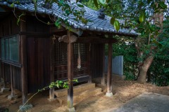 DSC07254