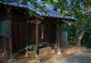 DSC07254