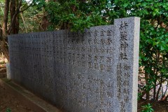 DSC07256