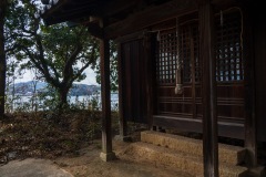DSC07257