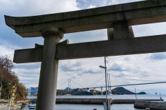 DSC07265