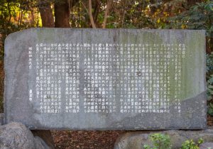 SBJ07331