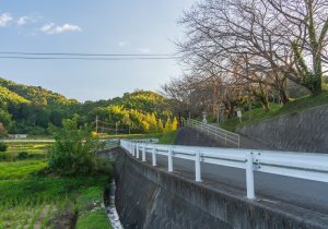 SBJ00006