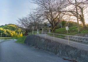 SBJ00007