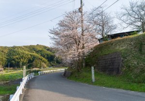 SBJ05760