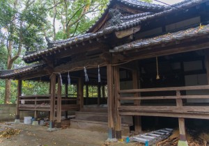 SBJ01915