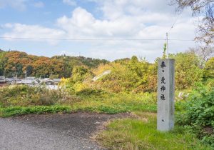 SBJ01977