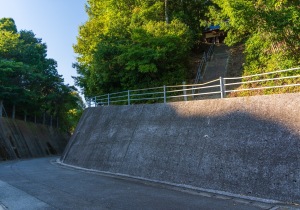 SBJ08941