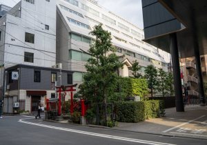SBJ07928