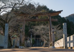 SBJ01019
