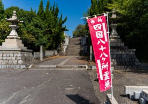 DSC07610