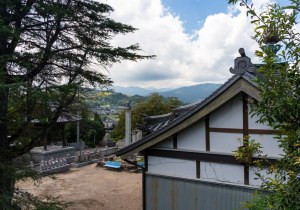 DSC07676