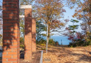 SBJ02936