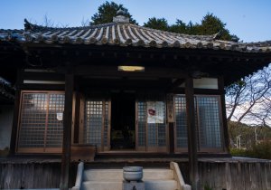 DSC06494