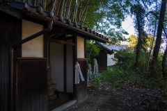 DSC06500
