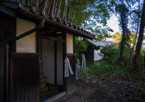 DSC06500