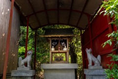DSC06294