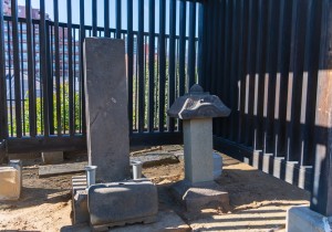 SBJ08113