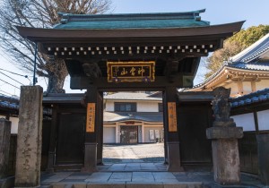 SBJ08132
